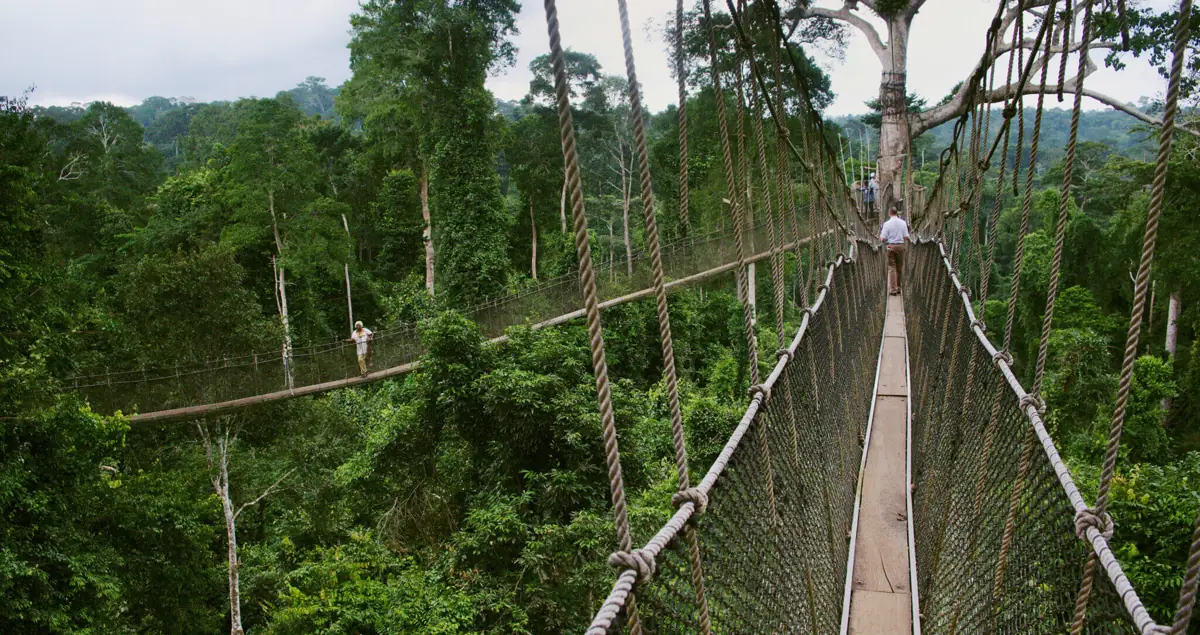 A canopy walkway at Kakum National Park